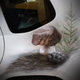 Image for article titled Russia's Airbrushed Car Scene Is Out Of Control